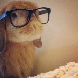 Meet your Posher, Juliet